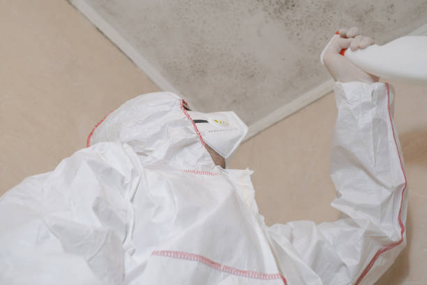 Professional Mold Remediation in Hartford, IL